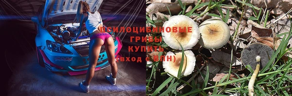 спайс Козельск