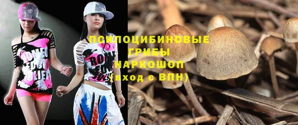 кокс Козловка