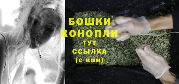 метадон Кодинск