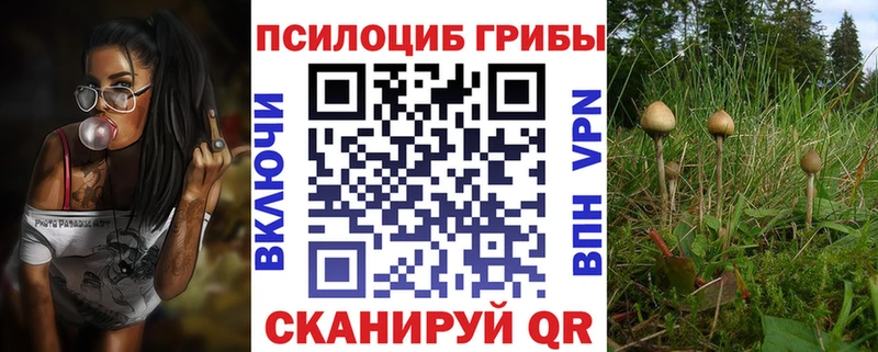 Купить закладки  Калязин  Галлюциногенные грибы Magic Shrooms 